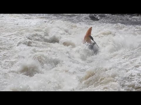 Emrick Blanchette Pounded on Rivière aux Brochets, Quebec (#23 Carnage for All 2018)