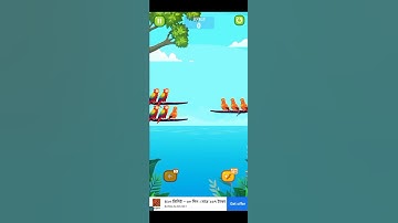Bird Sort Colour puzzle 🦜🧩 #shorts #viral #games