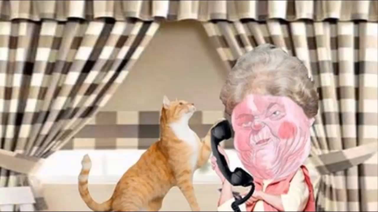 Best Radio Talkback Caller of the Year - Criticizes Left-Wing Aussies