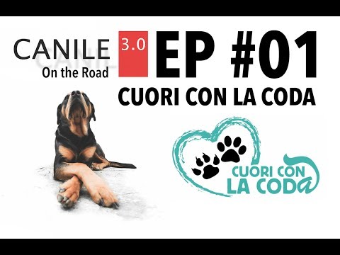 EP#01   CUORI CON LA CODA   YouTube