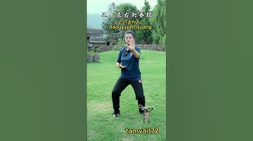 Thái cực quyền 6 thức cho người mới bắt đầu tập #kungfu #martialarts