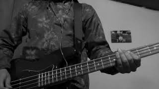 VACATIONS - Young (Bass cover) #vacations #young