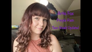 Arctic Fox Purple Rain Two-Week Update