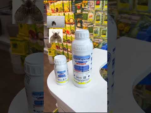 أطلب الأن مبيد فيبروسايد وتخلص من ذبابة المجارى والنمل الأبيض الأرضة