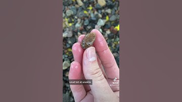 Everyone’s Favorite Rock Bucket Pt. 2