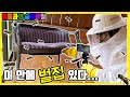 말벌집 제거 후 화형시키기 불 토치편