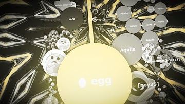 The Gota.io Egg 🥚《256x》