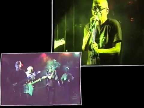 A Mess of Blues -  Los Moscardones