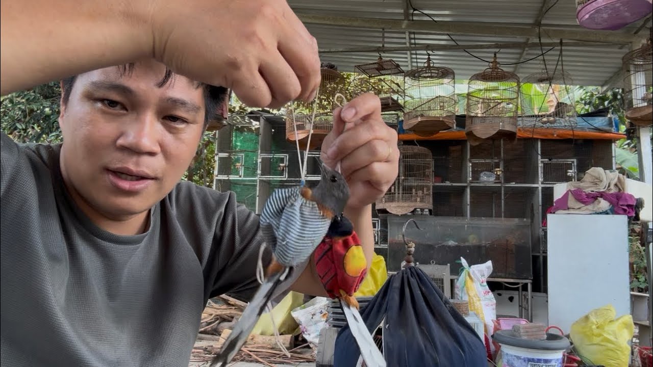 Lửa Mã Đà🔥🔥