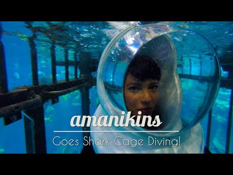 Vlog #62 Shark Cage Diving in Dubai Aquarium!