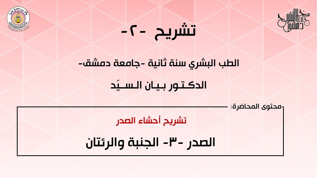 تشريح 2 | الصدر 3 | الجنبة والرئتان