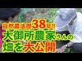 自然農法歴３８年大御所農家さんの畑を大公開！！
