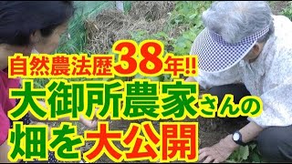 自然農法歴３８年大御所農家さんの畑を大公開！！