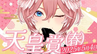 鷹嶺ルイ(たかねるい)の配信のサムネイル画像