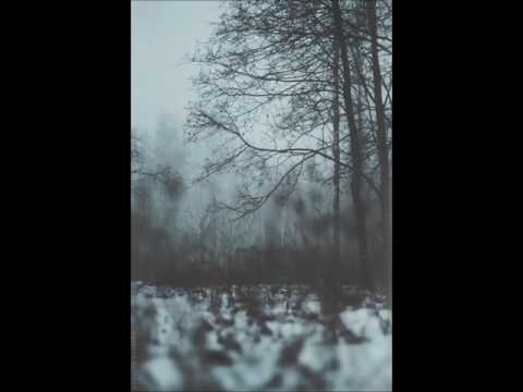 Submerge Video