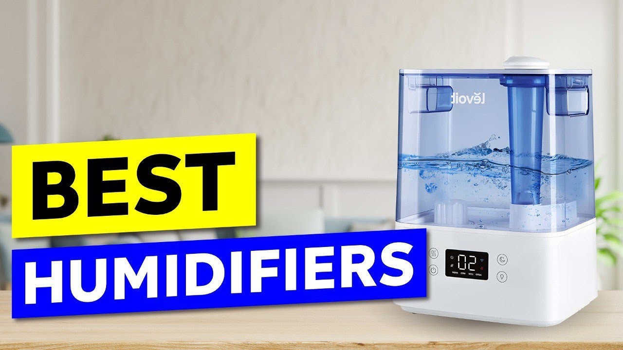 Top 3 Humidifiers to Buy in 2024 🎯 YouTube