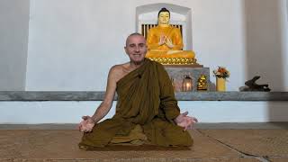 REAL LIFE, REAL MONKS 