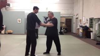 SIX HARMONIES IN PUSH HANDS