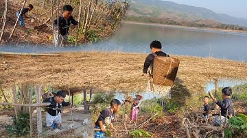 kuv tus niam tsev wb mus khawb qos cia tau pub qaib