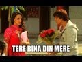 Tera Bina Din Song - Rangeelay Movie (Jimmy Sheirgill & Neha Dhupia)