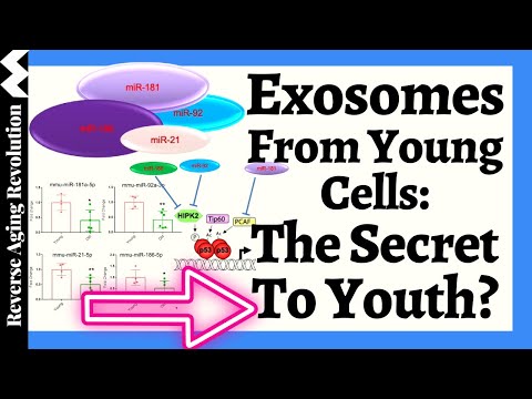 Finding The KEY To Youth - Exosomes From Young Stem Cells