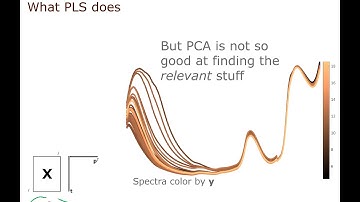 PLS Part 3. PLS concept