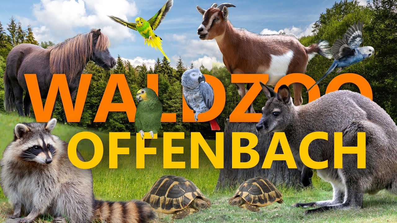 Zoo Frankfurt - Stadtzoo mit Zukunft? | Zoo-Eindruck
