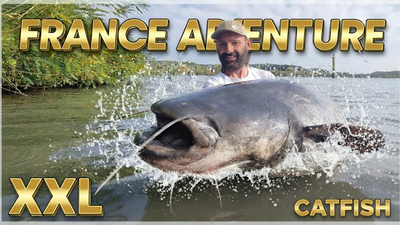 Крупный сом в водах Франции - Рыболовное приключение от Catfish World
