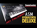 ASM Hydrasynth Deluxe – 16-voice Synth Demo — Daniel Fisher