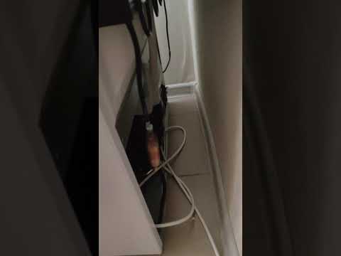 Холодильник HOTPOINT-ARISTON HDC 318 W, двухкамерный, белый [157291]