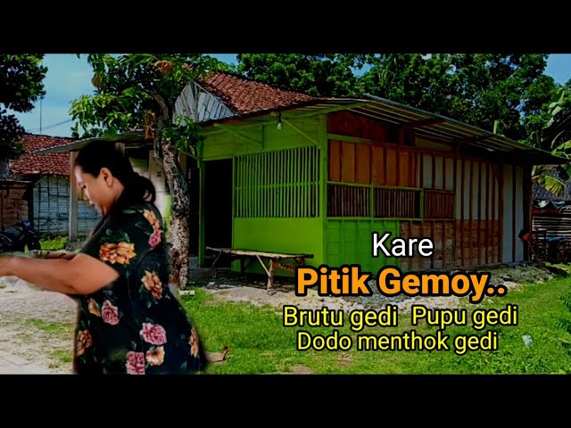 Gemoy Viral! Warung mbak Siti Kare Ayam Kampung Gemoy Ayamnya semok pedagangnya. class=