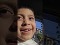 buckle up  safely  rules liam cartoon tv