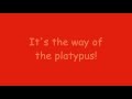 Phineas and ferb  the way of the platypus lyrics  hq