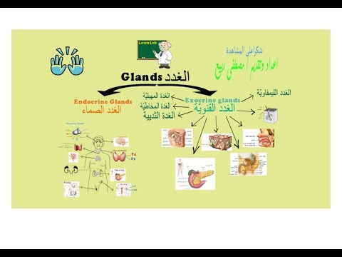 ما هي الغدد الموجودة بجسم الانسان وما انواعها وما صفتها ووظائفها ؟ glands