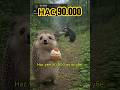 НАС 90 000 - #нейросеть #юмор #ии #мем #смешныеживотные #hailuoai #hailuo02 #minimax