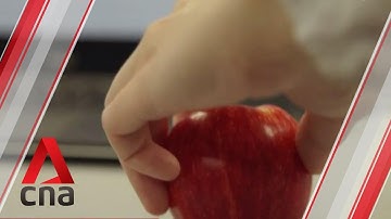 NUS researchers develop artificial skin that can recreate sense of touch