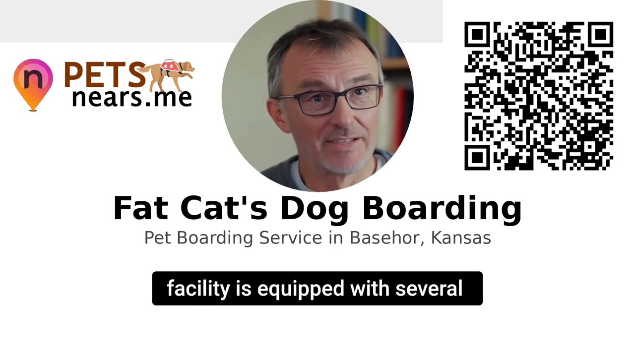 Fat Cat's Dog Boarding - Pet Boarding Service in Basehor, Kansas | Pet Near Me USA 90