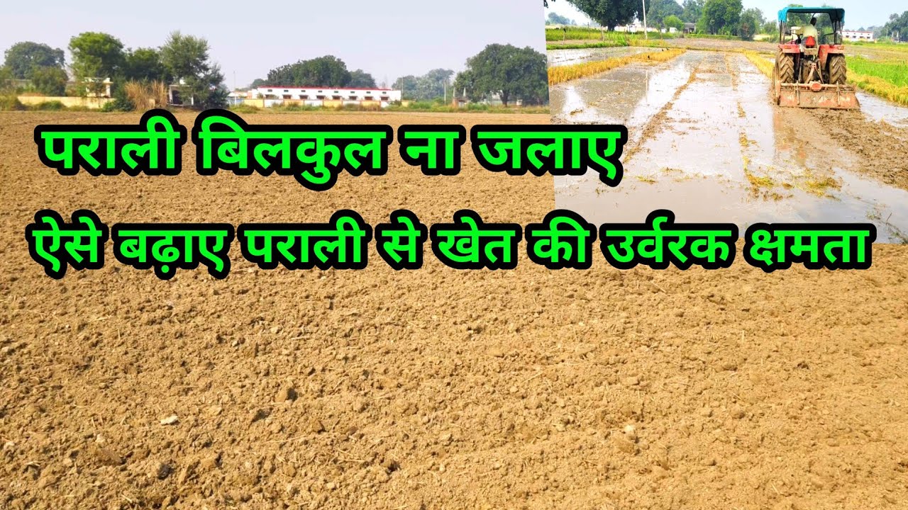 पराली बिलकुल ना जलाए ऐसे बढ़ाए पराली से खेत की उर्वरक क्षमता 