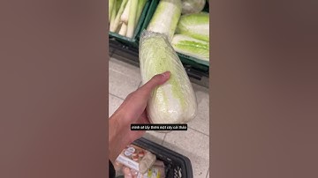 Du học sinh Cộng Hòa Séc 1 ngày tiêu hết bao nhiêu tiền ^^  #ngocmuscz  #czechrepublic #cz