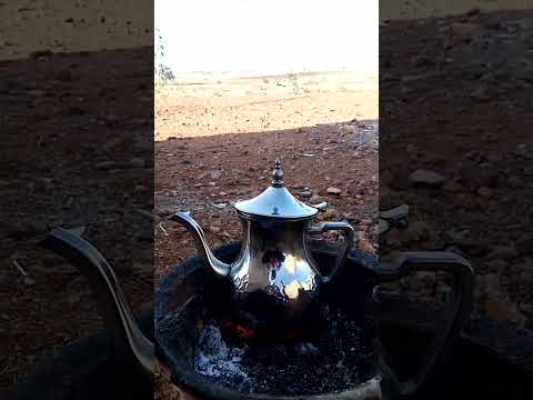 محلى النزاهة مع ألناس لقدام اللي دوزوا في الدنيا شلا أيام 