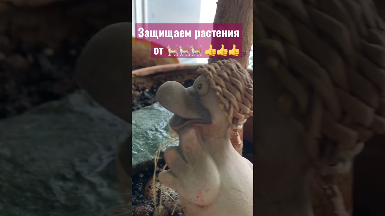 Кто делает шкоду страна