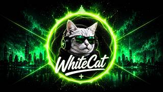 EXALTED HIGH ⚡ | WhiteCat (Melodic Techno & Dark EDM)