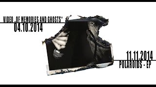 fly dead birds don pre