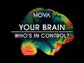 NOVA: Your Brain-Who's in Control?