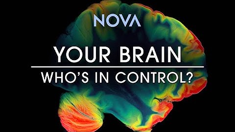 NOVA: Your Brain-Who