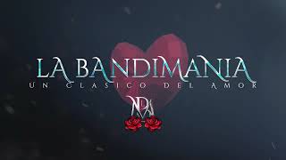 Video thumbnail of "LA BANDIMANIA - VIDEO LYRICS "PARTIDO EN DOS""