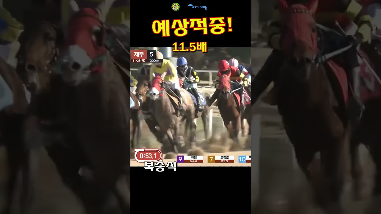 말꼬리 AI경마 예상적중! 11.5배 11월28일 제주5경주 복승식#shorts #ai경마 #경마 #경마예상 #경마예상지