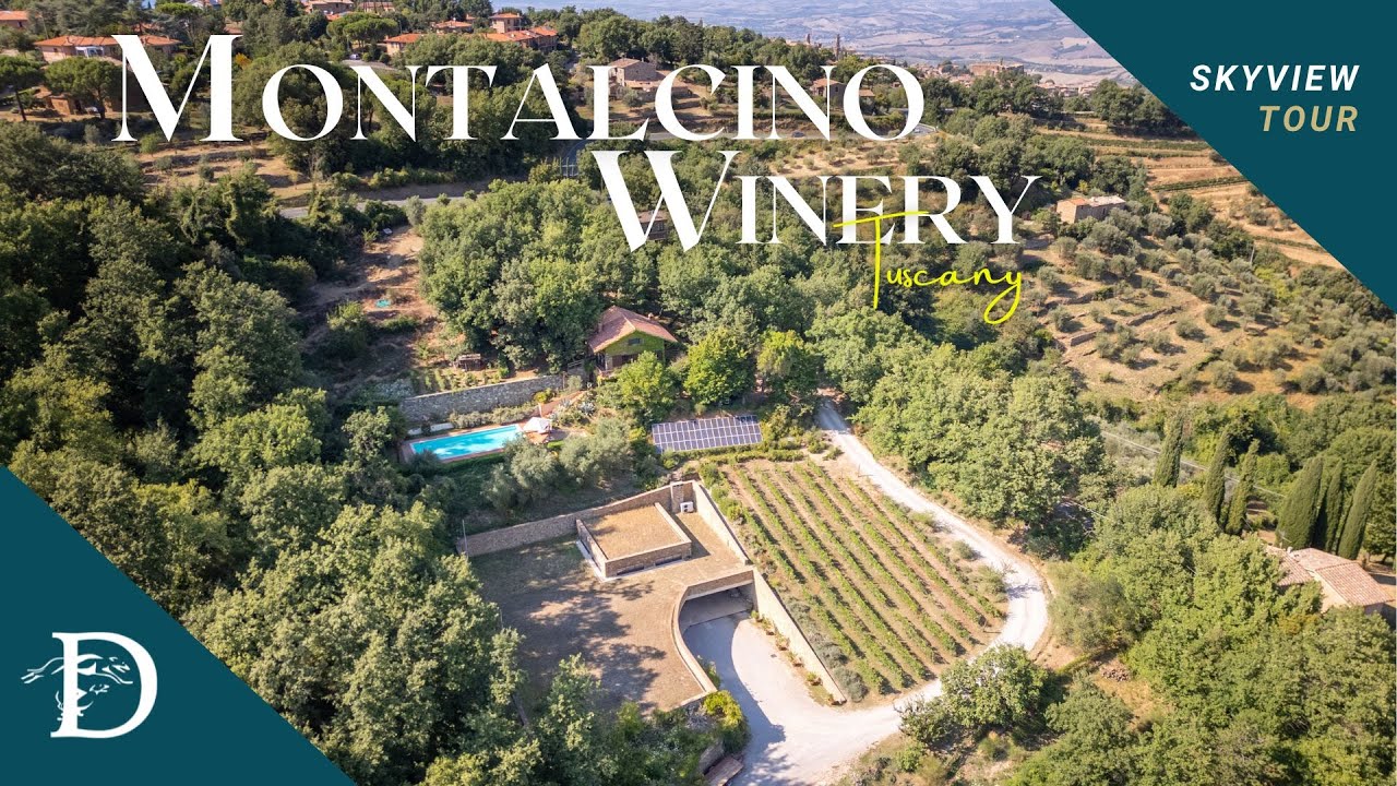 Winery for sale in Montalcino - Dreamer