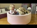 Adorable Baby Girl Brushes Her Sweet Dogs Hair! The Love They Have! Cutest Ever!!)