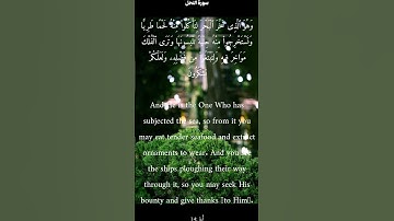 سورة النحل من الأية 13 الى 16 ناصر القطامي